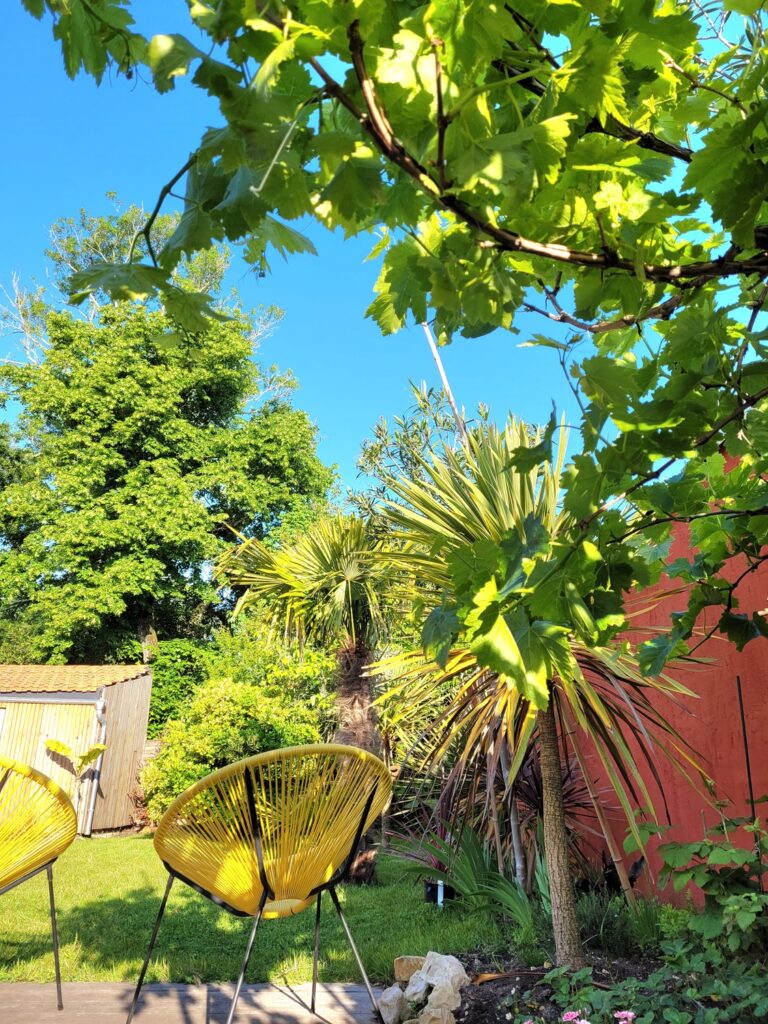 Green House - extérieur