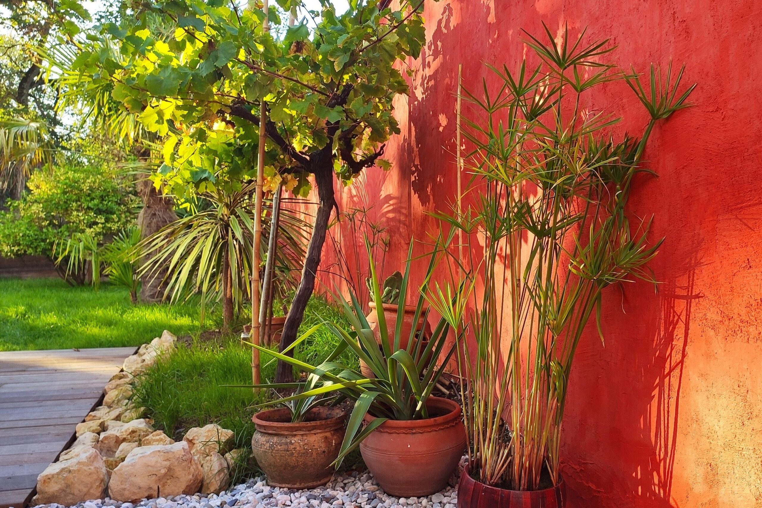 Green House - extérieur